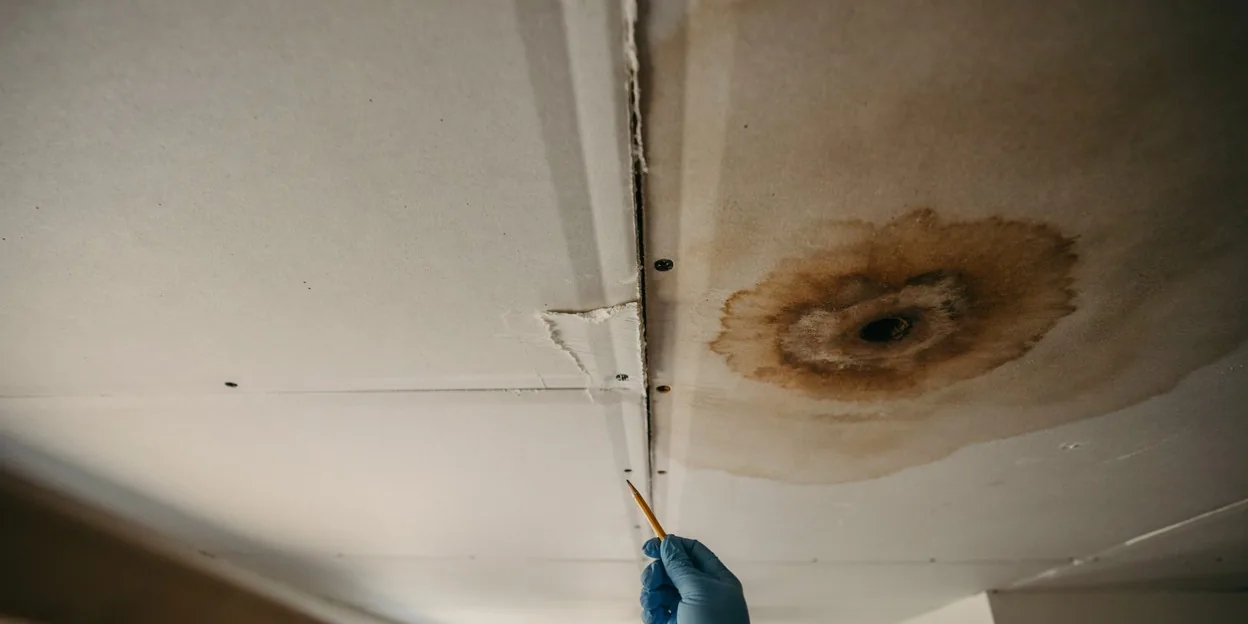 Ceiling Water Damage Repair in Pflugerville, TX